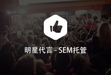 明星代言SEM竞价托管案例